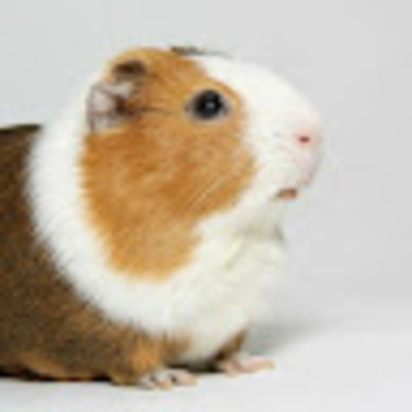 Meet your Posher, Ellinor - Picture 1 of 1